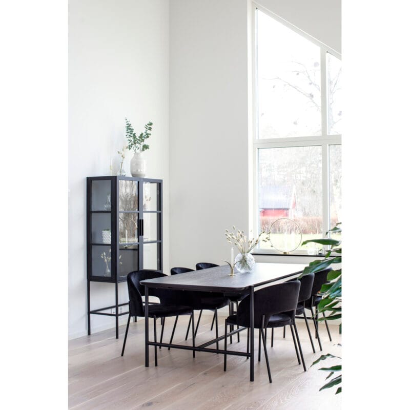 0003Cane miljo 3 0003Cane miljo 3