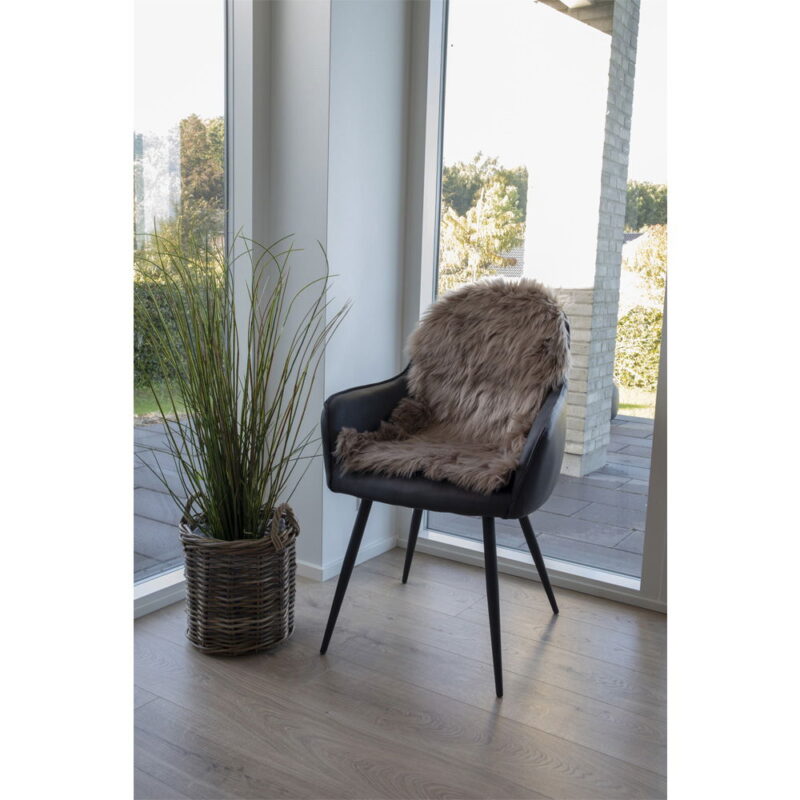 3981132-11 3981132-11