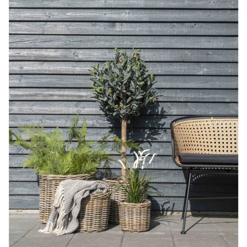 4401120-11 4401120-11