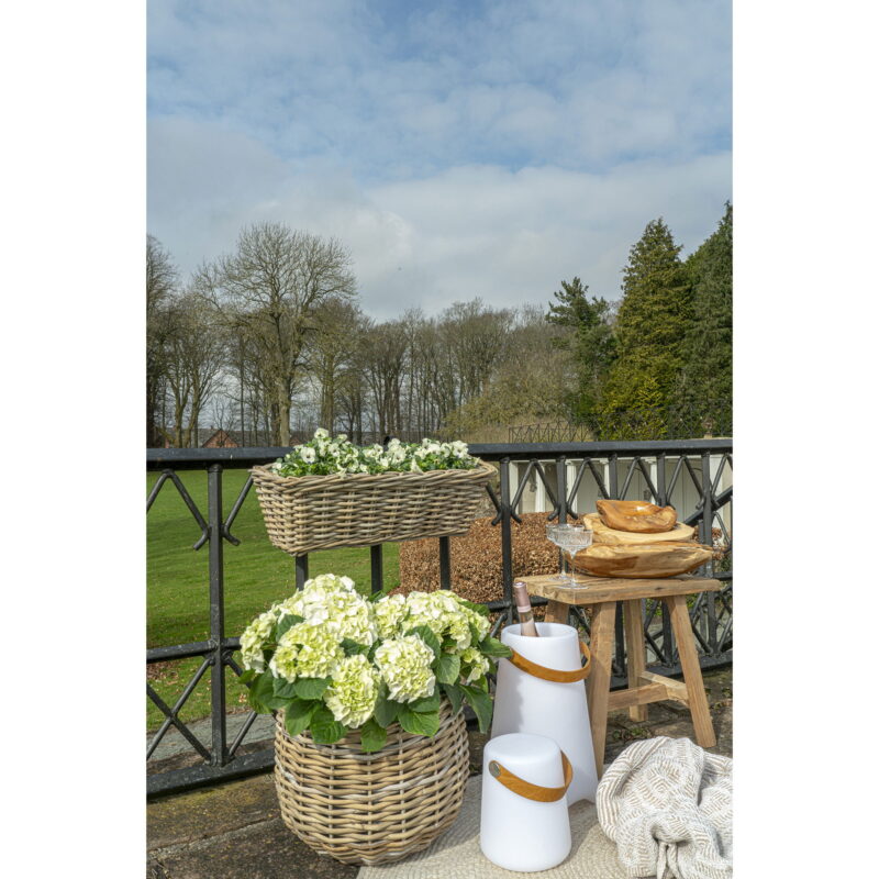 6405110-21 6405110-21